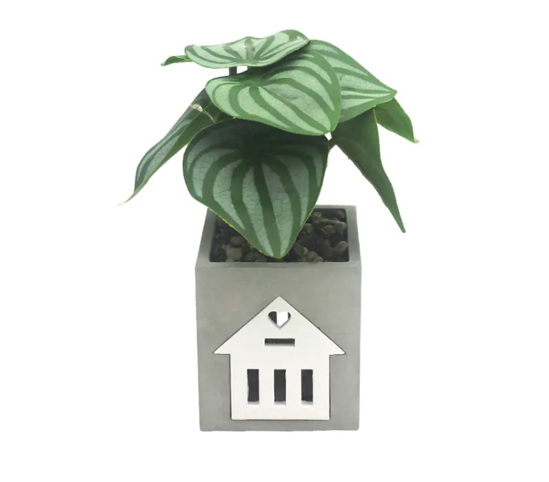 Ang LED semento na lampara ay katugma sa mga matalinong sistema ng bahay, para sa control ng boses at automation?